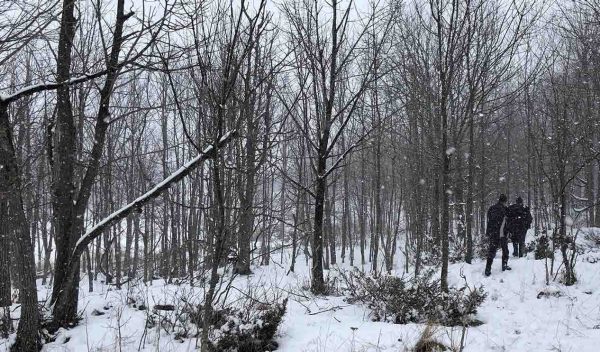 The site in the winter with trees