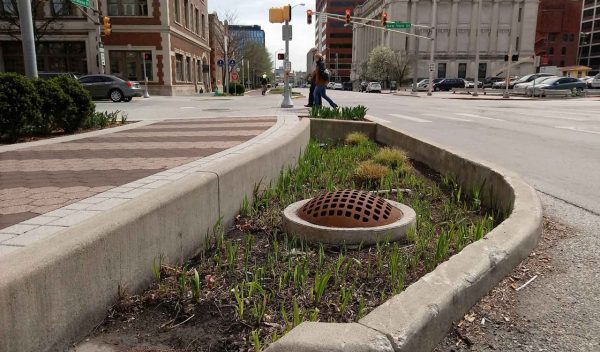 Bioretention along a downtown street