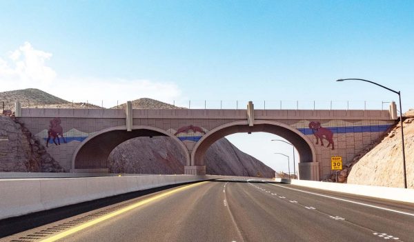 A bypass over a freeway with buffalo art