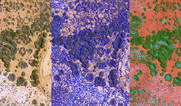 Comparison of vegetation using remote sensing