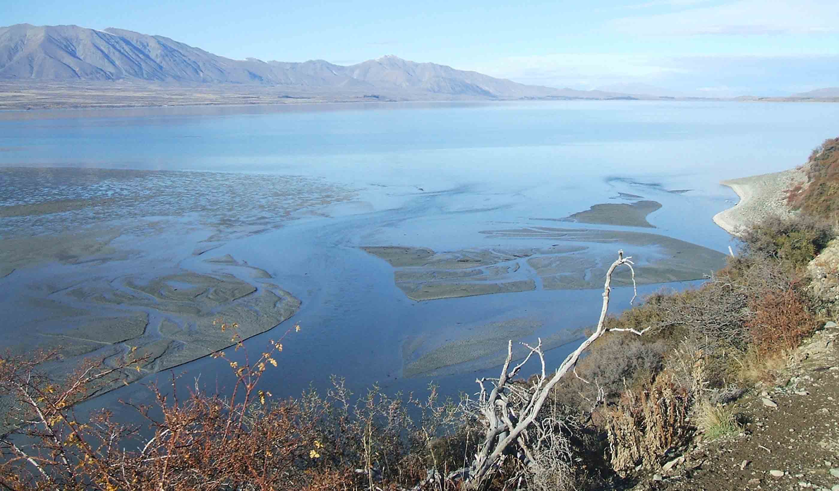 New Zealand’s Three Waters Reforms: Prioritising the well-being of freshwater ecosystems