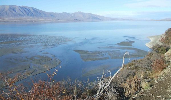 Godley River flowing into Lake Tekapo