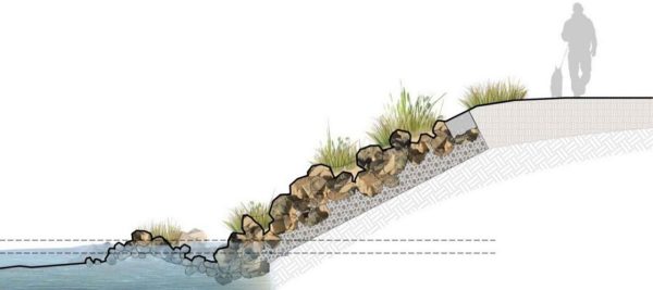 Rendering of natural seawall demonstrating tide levels.