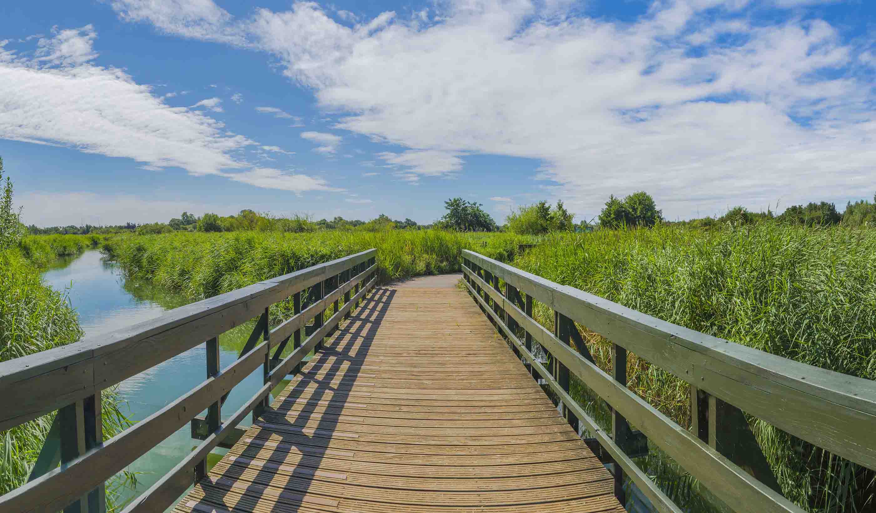 World Wetlands Day 2018