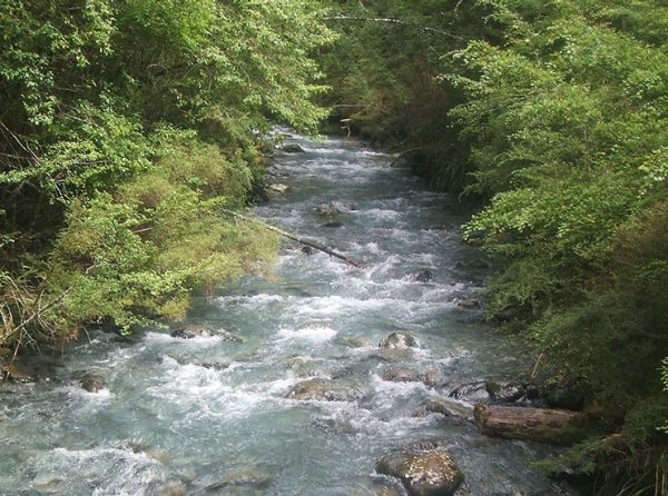 stream with rocks