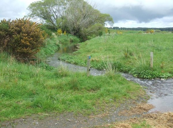 Lowland stream