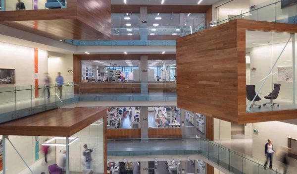 Light walls reflecting back into open space at The Allen Institute of Brain Science