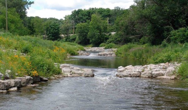 Trickling river with green banks and protruding rock beds.