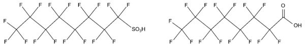 sulfuric and carboxylic heads graphic