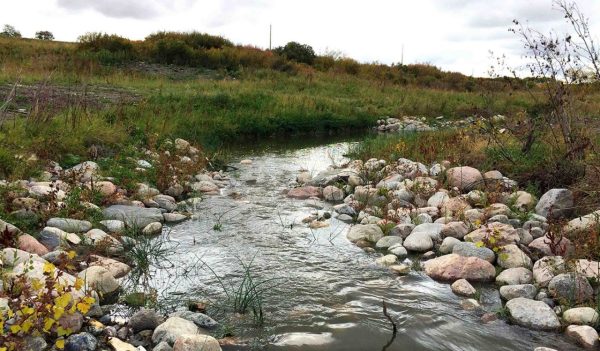 Narrow stream with a pebbled rock bank amidst green grass.