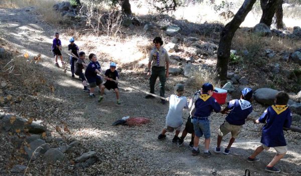 Boy scouts playing tug of war.