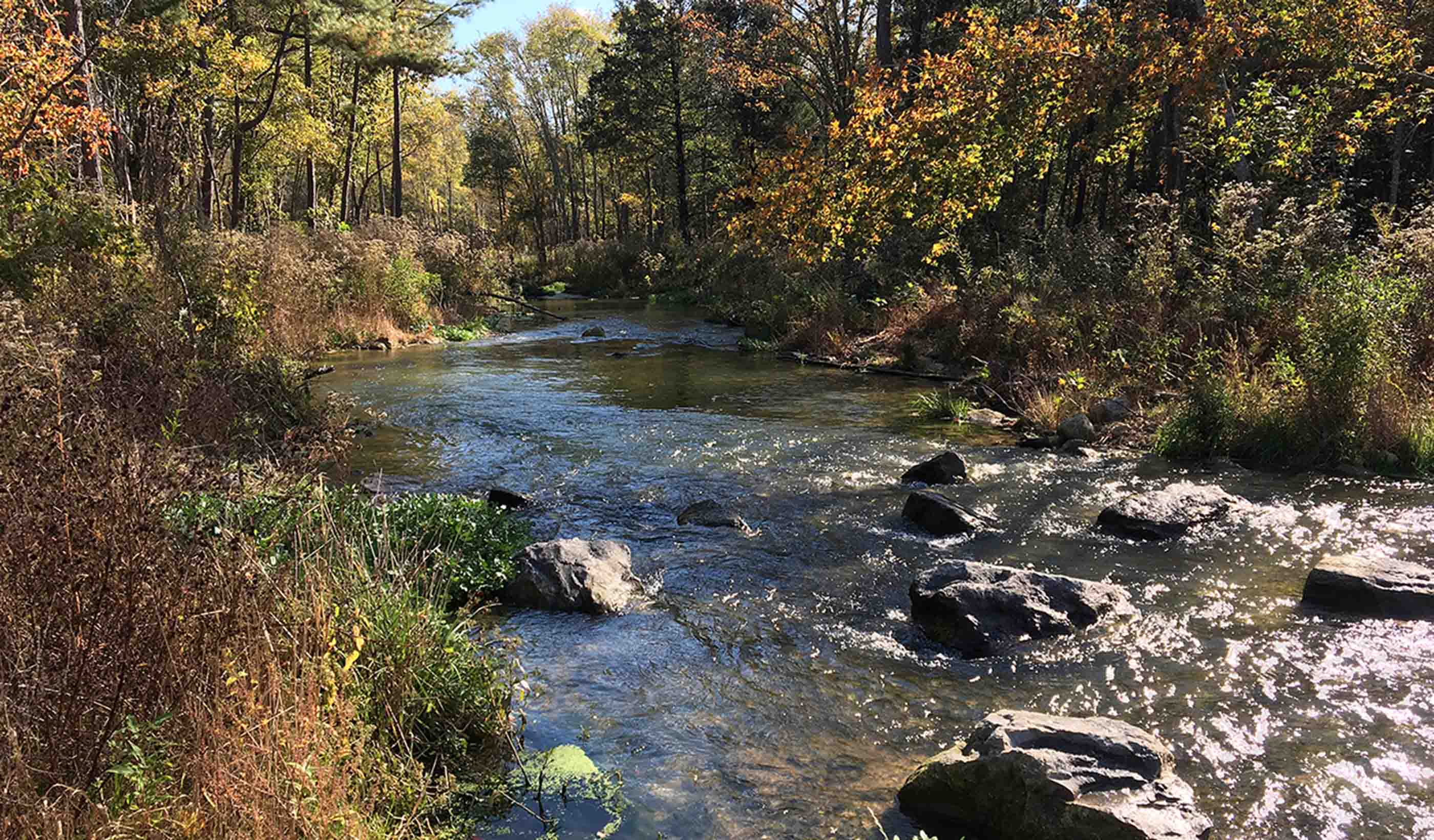 Roundtable: Imagining a day without water—with planning, it’s something we can avoid