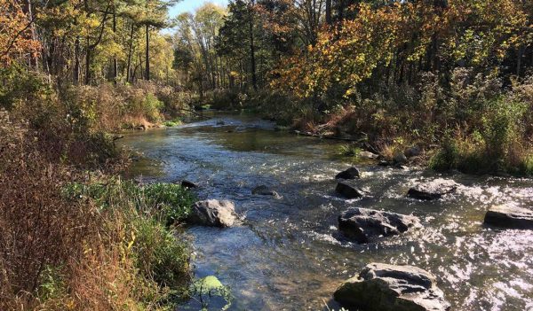 The Hatchery Creek Restoration Project, designed by Stantec.