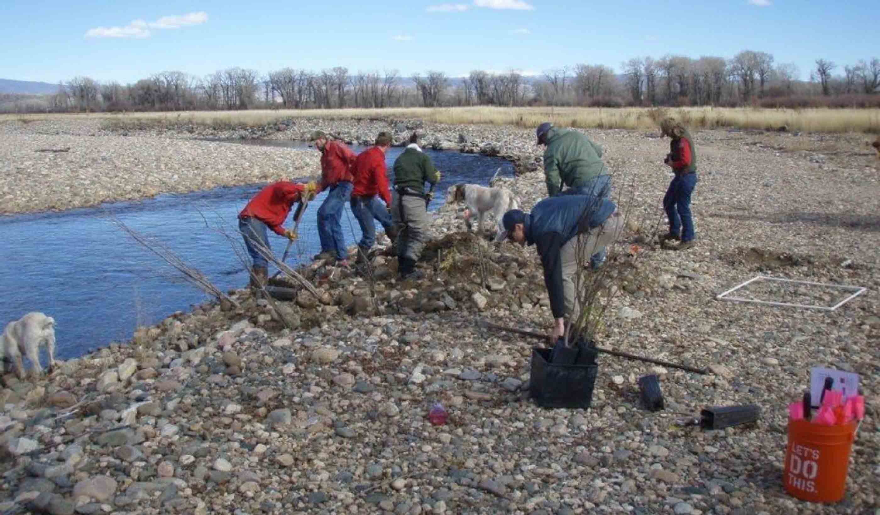 The quest for knowledge: How Stantec research empowers our people to better serve clients