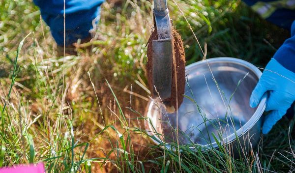 Soil sampling