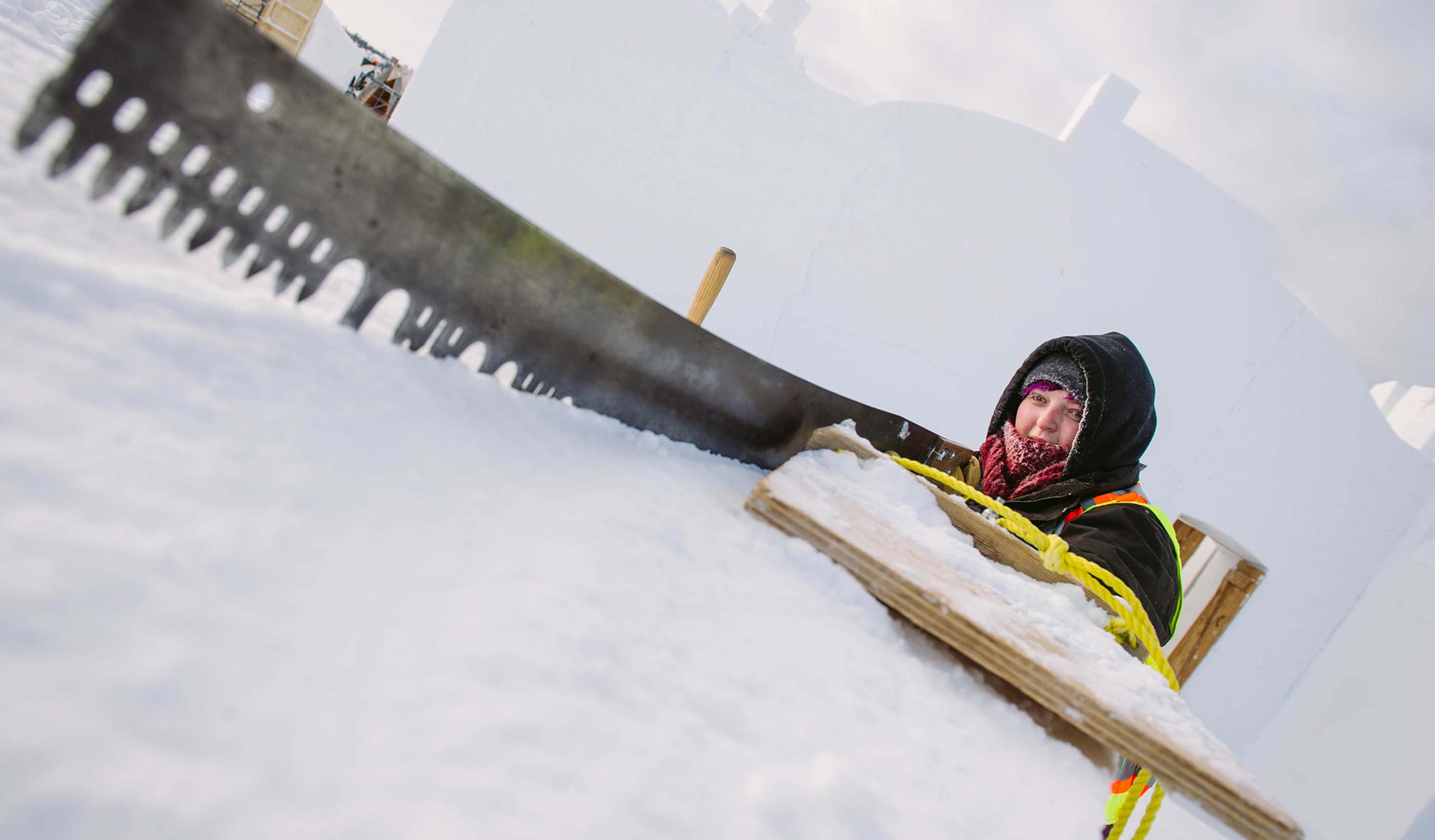 From snowflakes to seashells: An engineer’s career takes flight