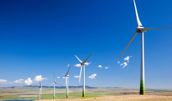 Wind turbines in a wheat field framed against clear blue sky.