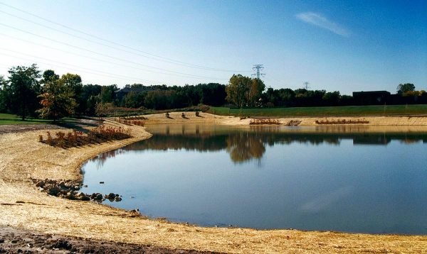 Eagan Pond with shoreline reinforcement.