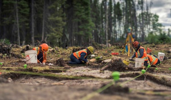 Field archaeologists