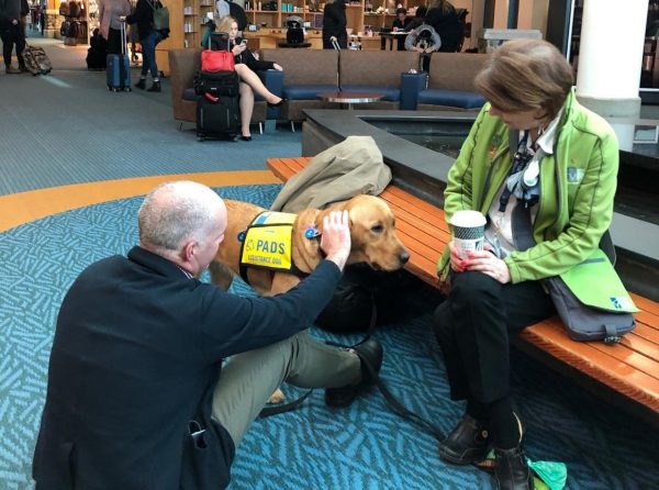 A man and women with a dog at an airport