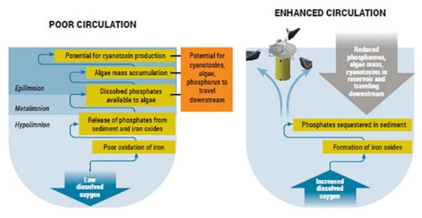 Circulation and oxygen—a tale of two water bodies.