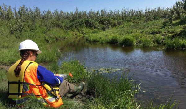 Environmental scientist testing water