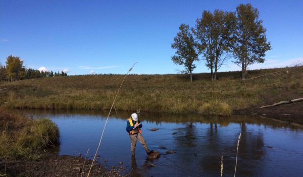 Environmental scientist standing in water