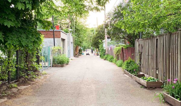 Green alley with planters boxes