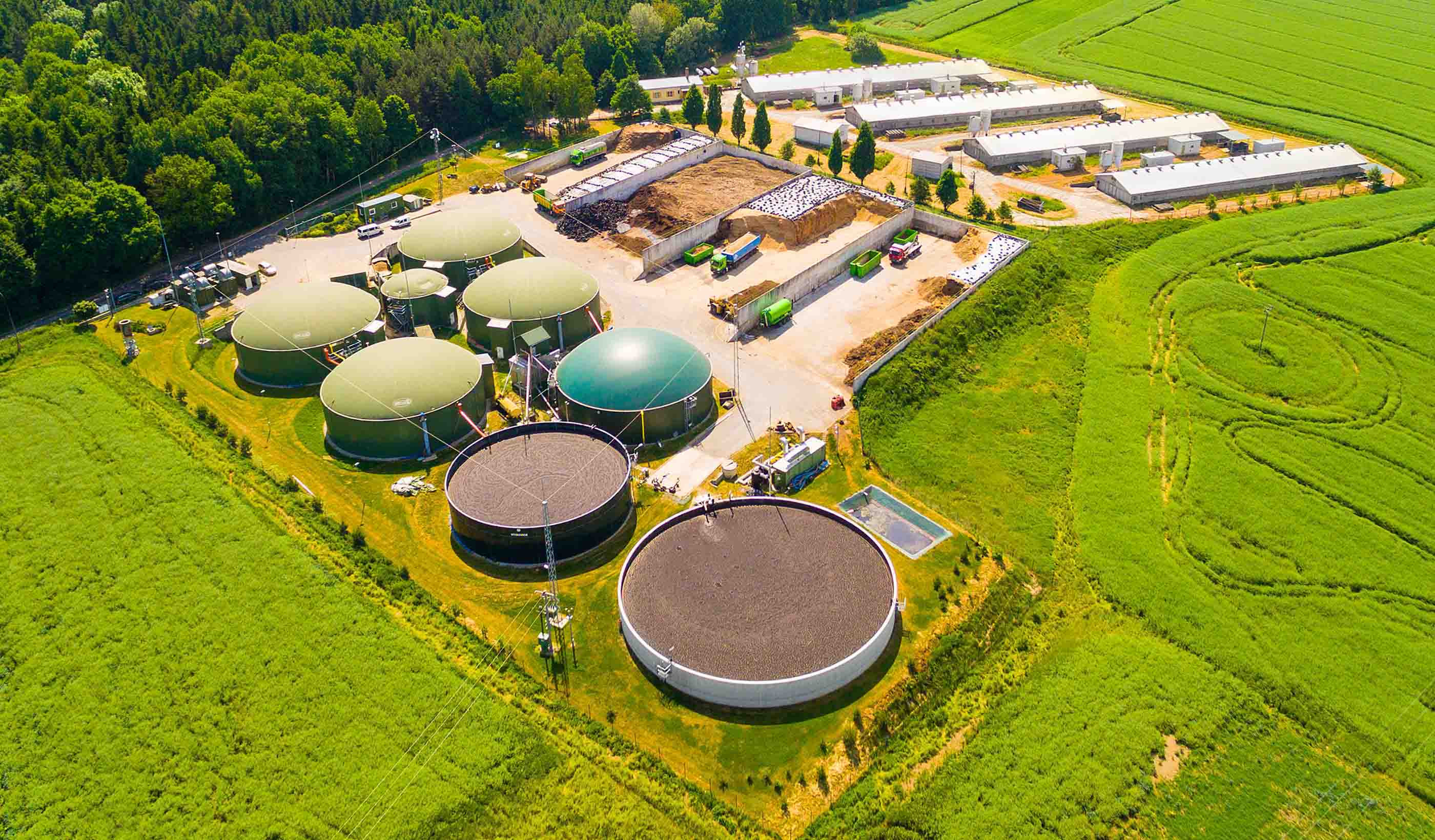 The potential of biogas in the energy transition