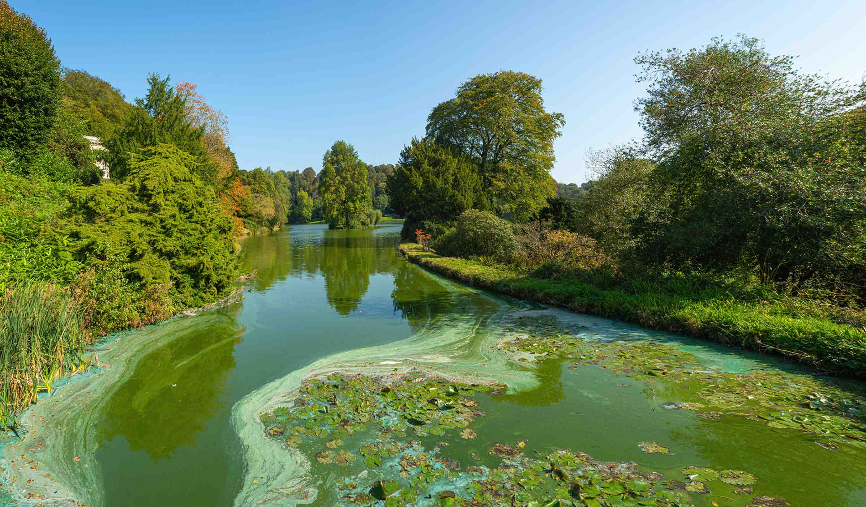 Cleaning up our waters: actions to remove nitrogen pollution from estuaries and coasts