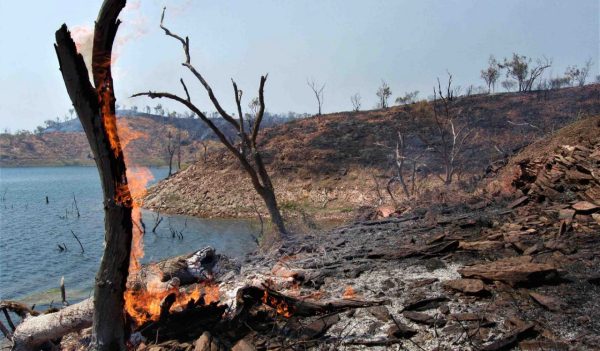 Burned land after a bush fire near a body of water.