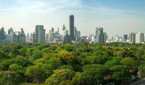 Public park and high-rise buildings cityscape in metropolis city center . Green environment city and downtown business district in panoramic view .