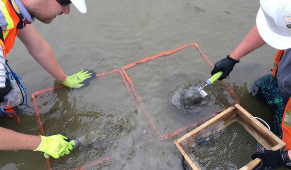 Environmental scientists pulling samples.