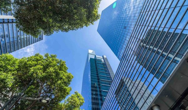 modern office building with green trees