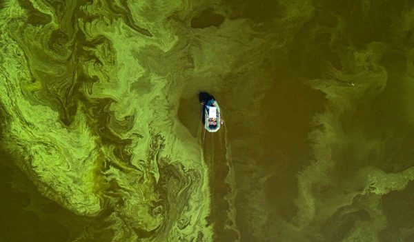 Fishing boat on green water, aerial drone view. Algae bloom in the river, green pattern on the water.