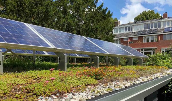 Green sedum rooftop garden with solar panels for solar energy, climate adaptation and stimulating biodiversity 