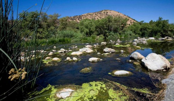 Los Angeles River. Glendale Narrows. Los Feliz, Los Angeles.