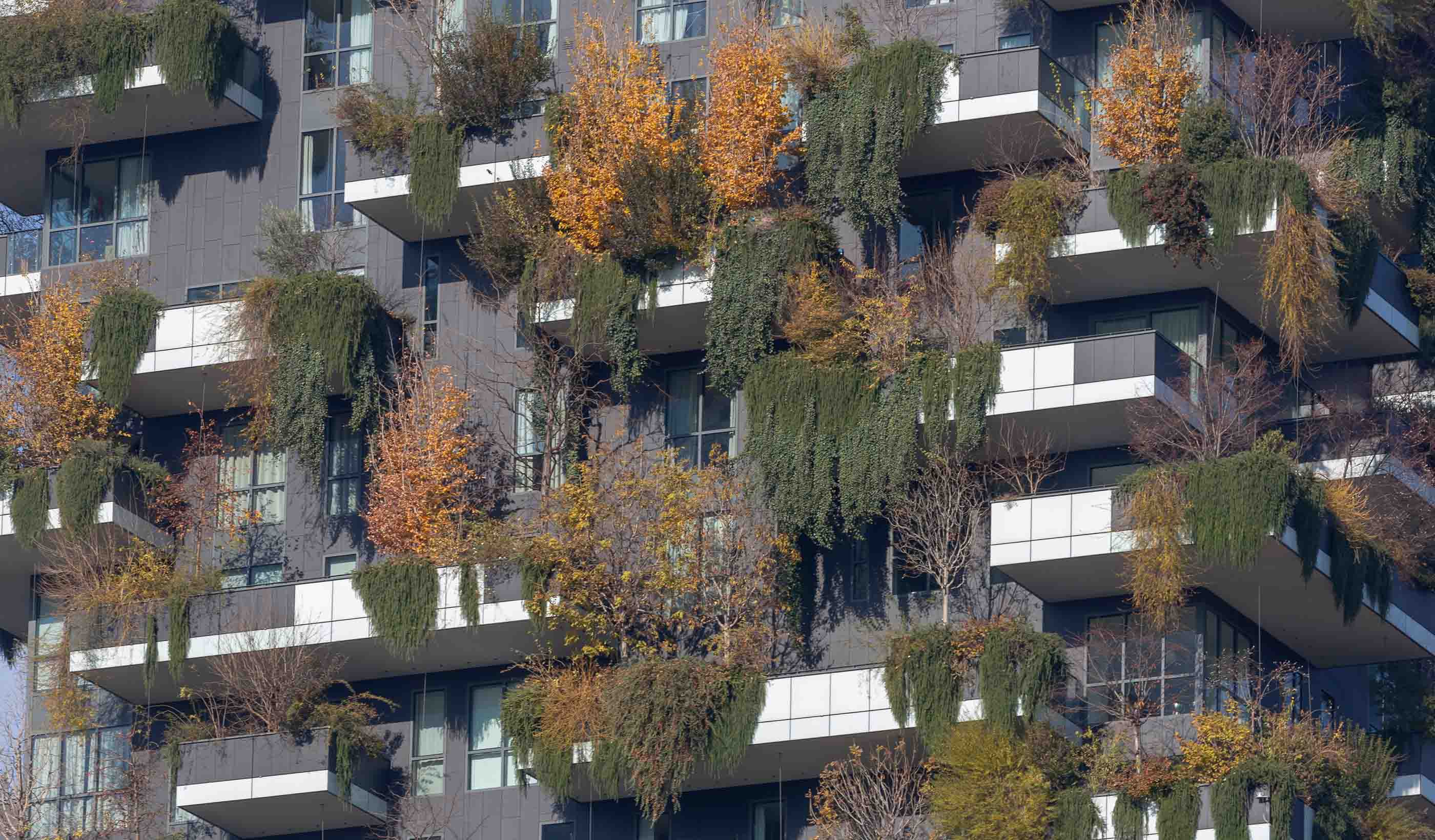 Regenerative urban greening in the face of a hotter, wetter UK