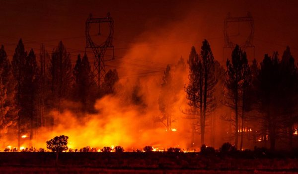 Smoke Rises from Forest Fire 