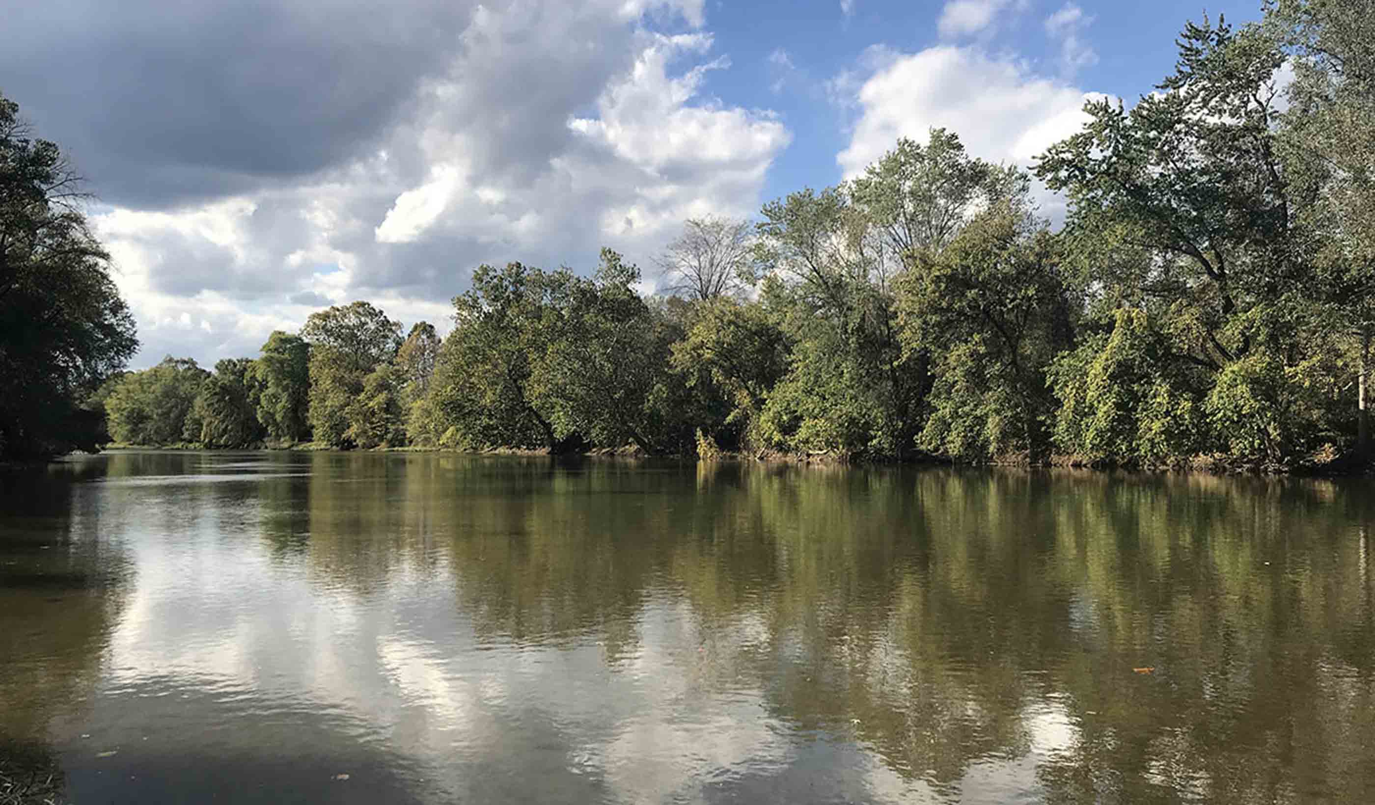 When freshwater mussel surveys are needed, eDNA can show the way