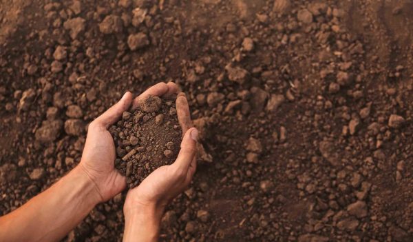 Hands holding soil