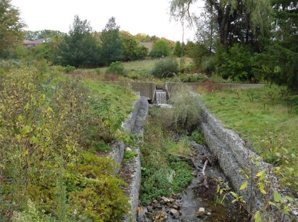 Before image of creek bed.