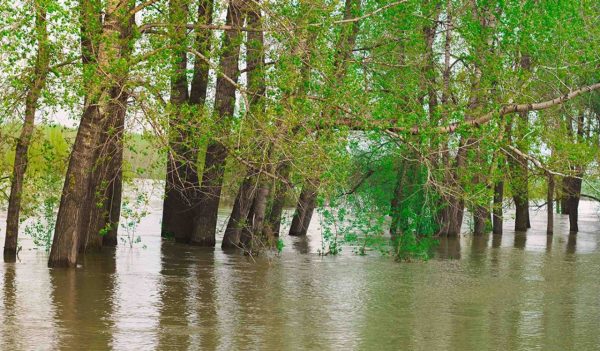 Flooded waters reflect during sunset ,while the river flows swiftly down the stream in Frankfort, Kentucky.