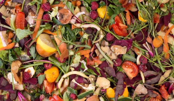 Pile of composting organic vegetable waste