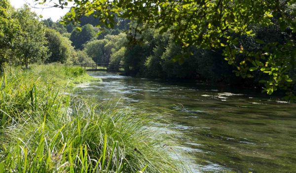 The river Itchen in Hammpsire England surrounded by vegetation with a footbridge in the distance.