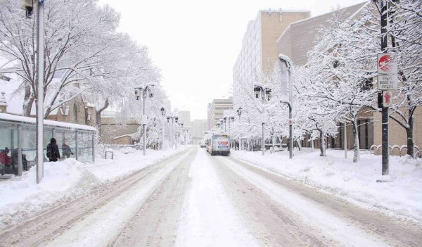 City street covered by snow with buses parked.