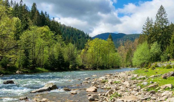 River in mountains with blue green water among forest and rocky shore. 