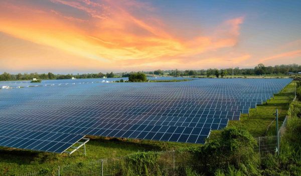 Rows of solar panels in a field at sunset.