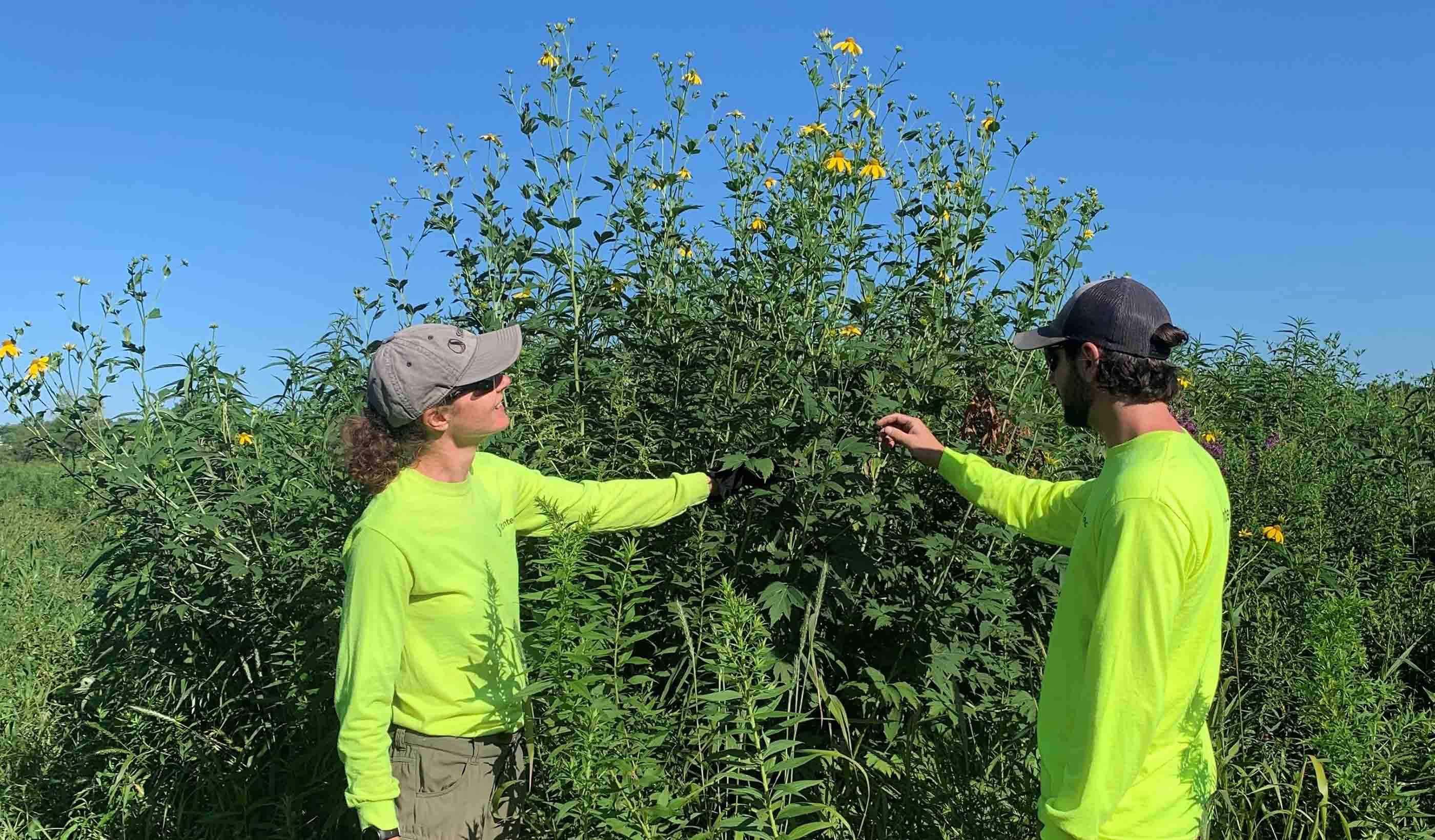 Come grow with us! Taking your ecosystem restoration career to new heights