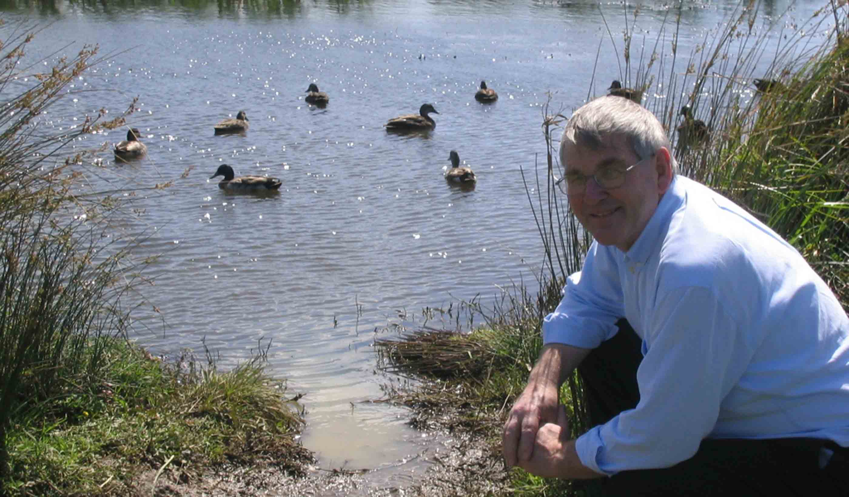 Working "shoulder-to-shoulder" with local Māori for a culturally-sound wastewater solution